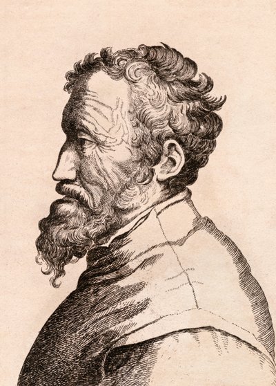 Michelangelo di Lodovico Buonarroti Simoni, illustrazione da 